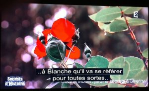Sous-titrage avec fond noir (réception TNT) {JPEG}
